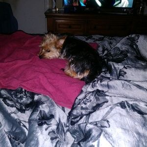 Meet your Posher, Rickey